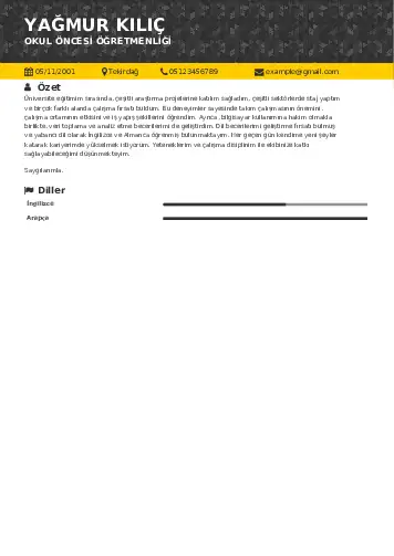 Okul Öncesi Öğretmeni Öğretmenliği Cv Örnekleri cv indir